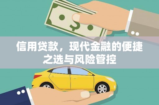 定海信用贷款，现代金融的便捷之选与风险管控