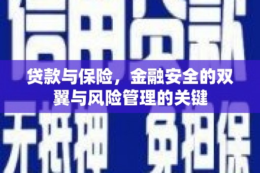 定海贷款与保险，金融安全的双翼与风险管理的关键
