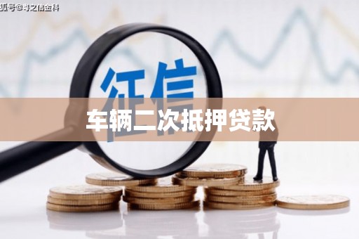 定海车辆二次抵押贷款