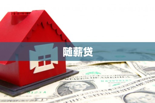 定海随薪贷