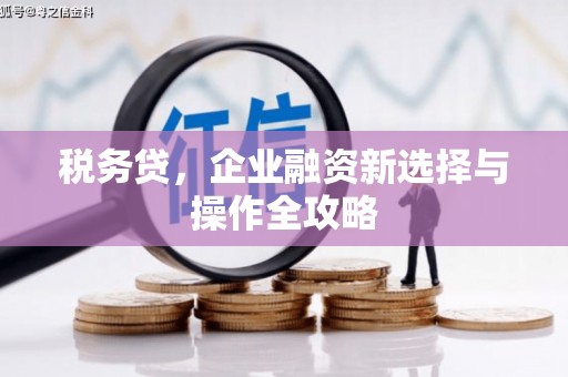 定海税务贷，企业融资新选择与操作全攻略