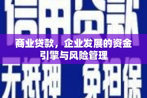 定海商业贷款，企业发展的资金引擎与风险管理
