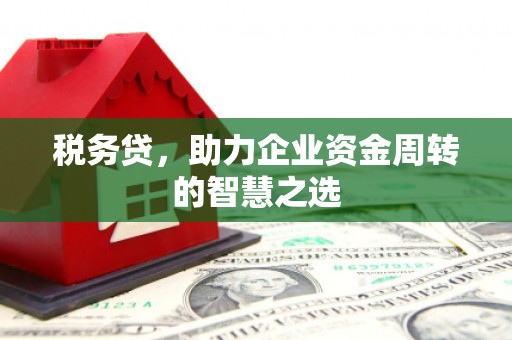 定海税务贷，助力企业资金周转的智慧之选
