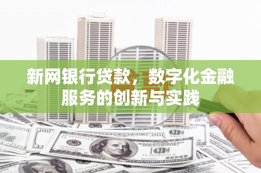 定海新网银行贷款，数字化金融服务的创新与实践