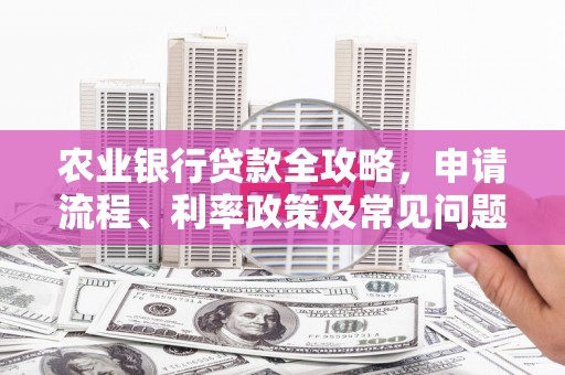 定海农业银行贷款全攻略，申请流程、利率政策及常见问题解析