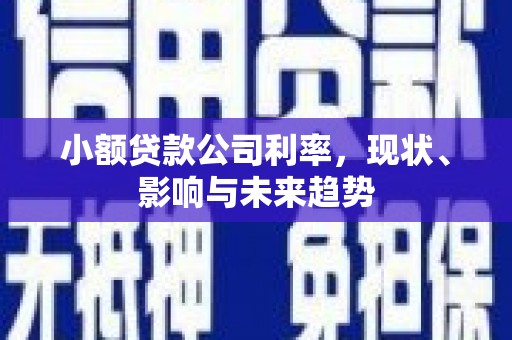 定海小额贷款公司利率，现状、影响与未来趋势