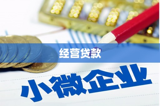 定海经营贷款