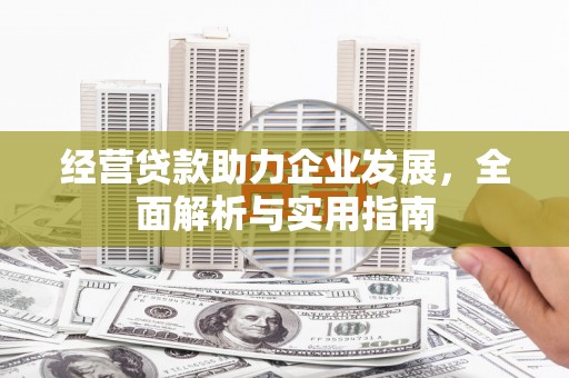 定海经营贷款助力企业发展，全面解析与实用指南
