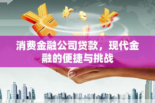 定海消费金融公司贷款，现代金融的便捷与挑战
