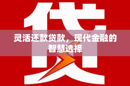 定海灵活还款贷款，现代金融的智慧选择