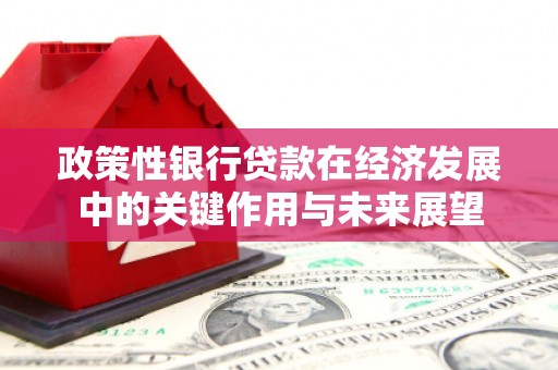 定海政策性银行贷款在经济发展中的关键作用与未来展望
