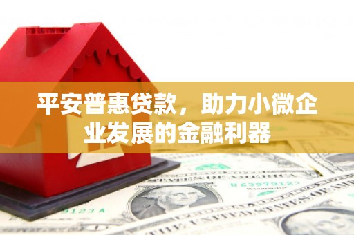 定海平安普惠贷款，助力小微企业发展的金融利器