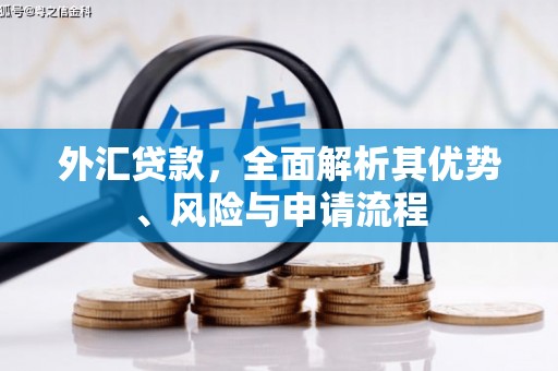 定海外汇贷款，全面解析其优势、风险与申请流程