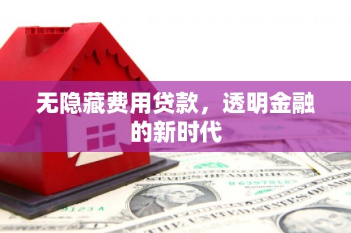 定海无隐藏费用贷款，透明金融的新时代