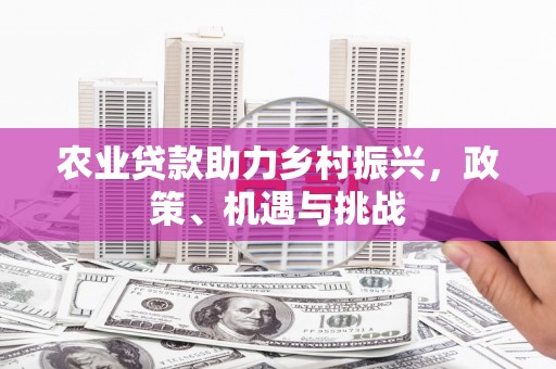 定海农业贷款助力乡村振兴，政策、机遇与挑战