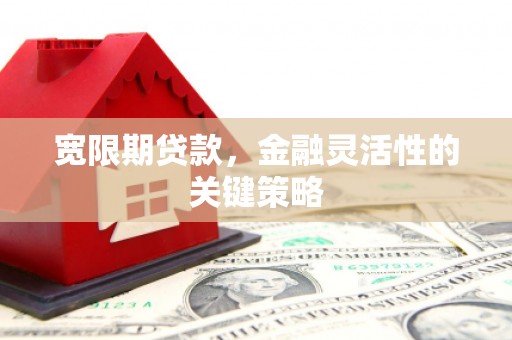 定海宽限期贷款，金融灵活性的关键策略
