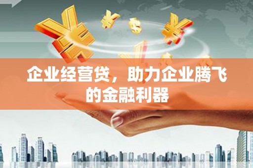 定海企业经营贷，助力企业腾飞的金融利器