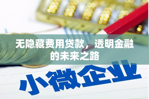 定海无隐藏费用贷款，透明金融的未来之路