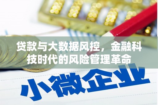 定海贷款与大数据风控，金融科技时代的风险管理革命