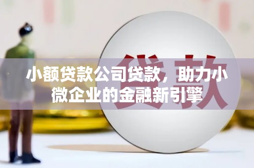 定海小额贷款公司贷款，助力小微企业的金融新引擎