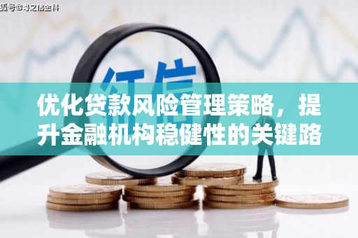 定海优化贷款风险管理策略，提升金融机构稳健性的关键路径