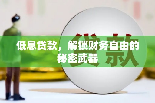 定海低息贷款，解锁财务自由的秘密武器