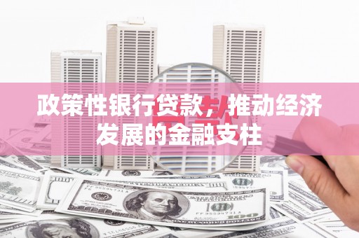 定海政策性银行贷款，推动经济发展的金融支柱