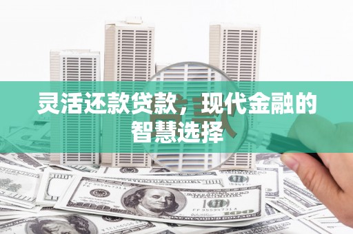 定海灵活还款贷款，现代金融的智慧选择