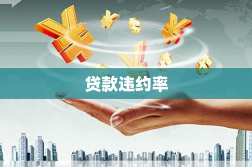 定海贷款违约率
