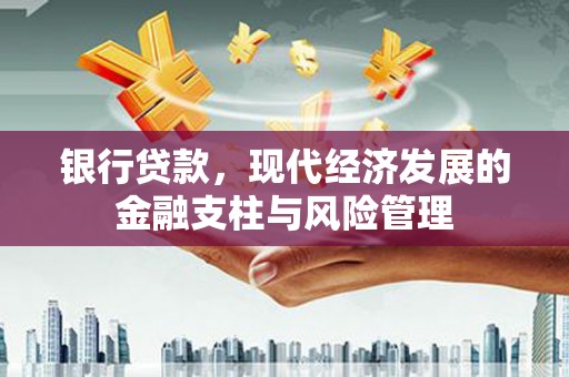 定海银行贷款，现代经济发展的金融支柱与风险管理