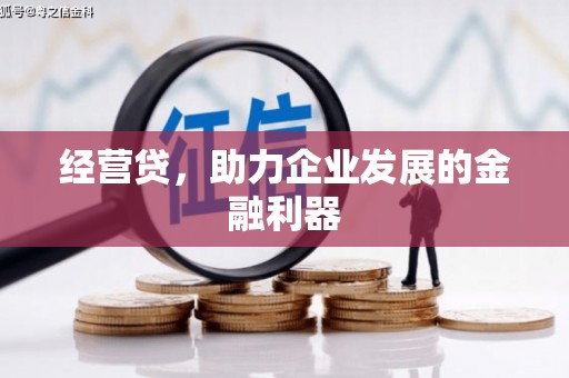 定海经营贷，助力企业发展的金融利器