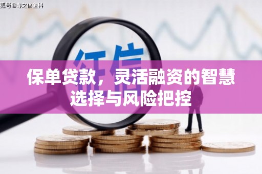 定海保单贷款，灵活融资的智慧选择与风险把控