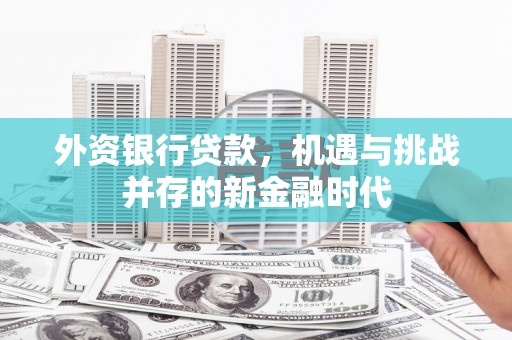 定海外资银行贷款，机遇与挑战并存的新金融时代