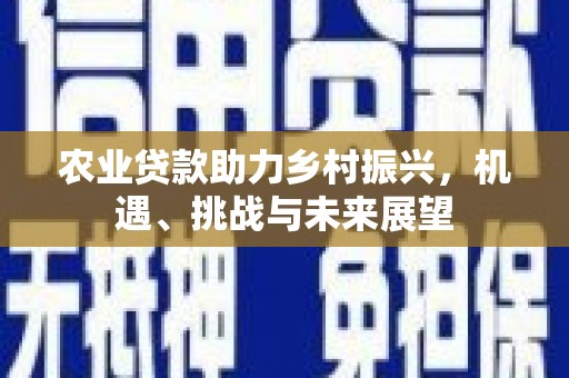 定海农业贷款助力乡村振兴，机遇、挑战与未来展望
