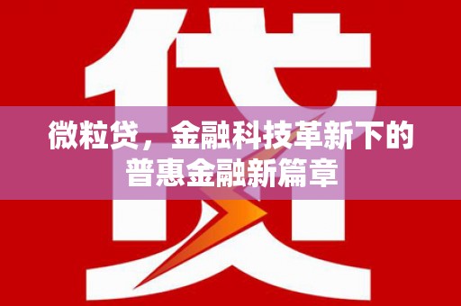 定海微粒贷，金融科技革新下的普惠金融新篇章