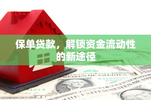 定海保单贷款，解锁资金流动性的新途径