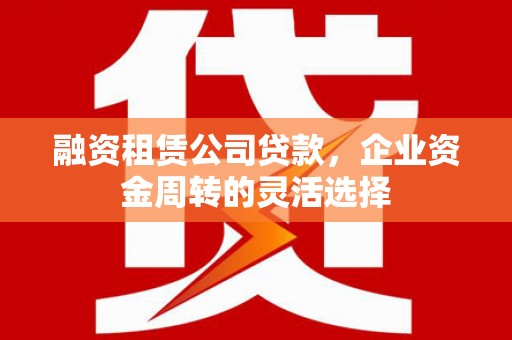 定海融资租赁公司贷款，企业资金周转的灵活选择