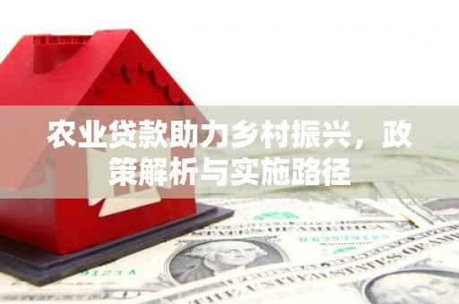 定海农业贷款助力乡村振兴，政策解析与实施路径