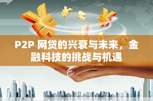 定海P2P 网贷的兴衰与未来，金融科技的挑战与机遇