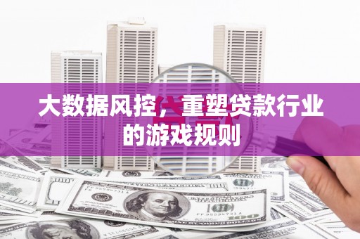定海大数据风控，重塑贷款行业的游戏规则