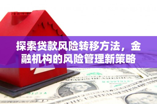定海探索贷款风险转移方法，金融机构的风险管理新策略
