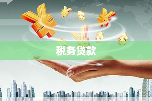 定海税务贷款
