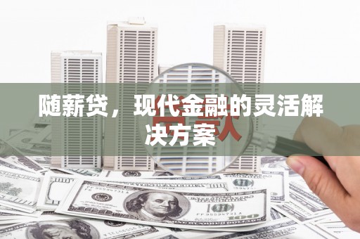 定海随薪贷，现代金融的灵活解决方案