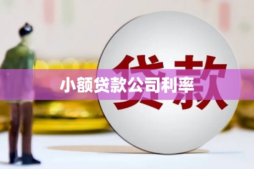 定海小额贷款公司利率