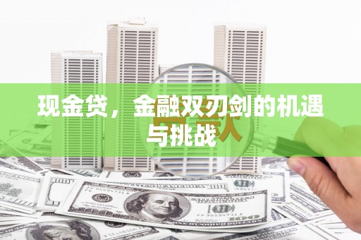 定海现金贷，金融双刃剑的机遇与挑战