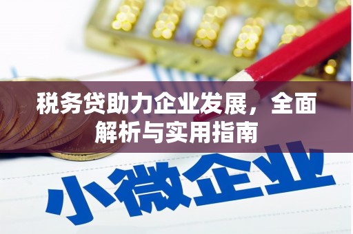 定海税务贷助力企业发展，全面解析与实用指南