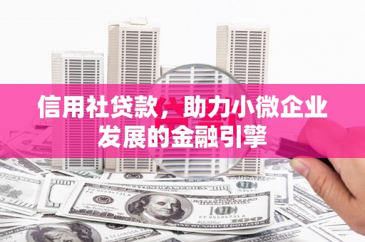定海信用社贷款，助力小微企业发展的金融引擎