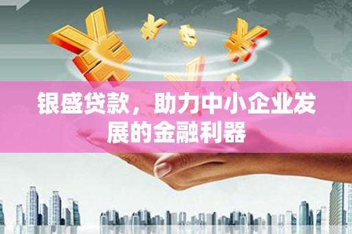 定海银盛贷款，助力中小企业发展的金融利器