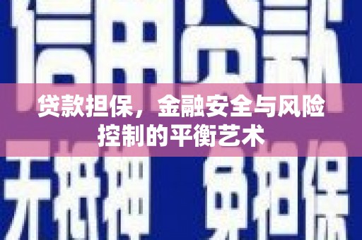 定海贷款担保，金融安全与风险控制的平衡艺术