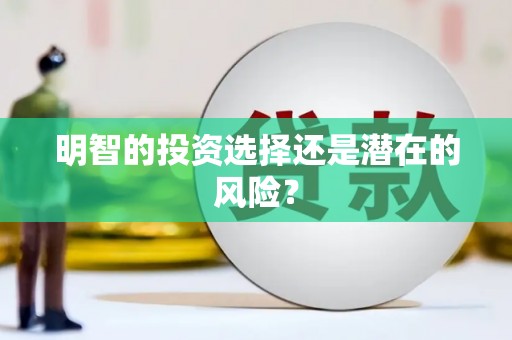 定海明智的投资选择还是潜在的风险？